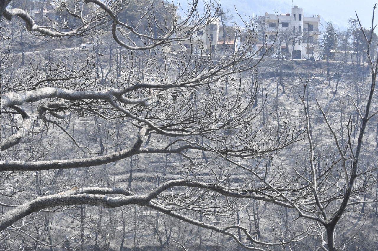 موجات الحر الاستثنائية تعزز خطر اندلاع الحرائق... والفوسفور يخلف كارثة بيئية جنوبا